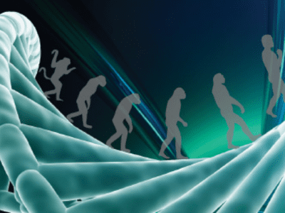 course thumbnail