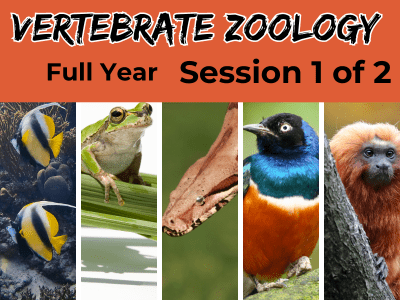 Vertebrate Zoology:  Session 1
