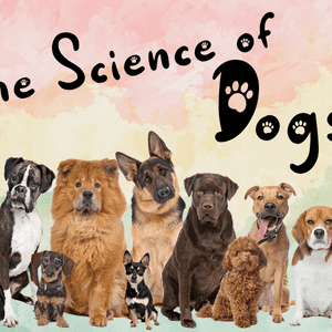 The Science of Dogs